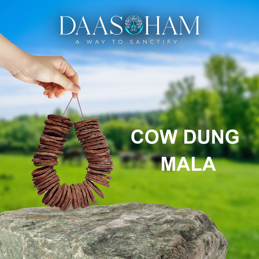 Dry Cow Dung Cake